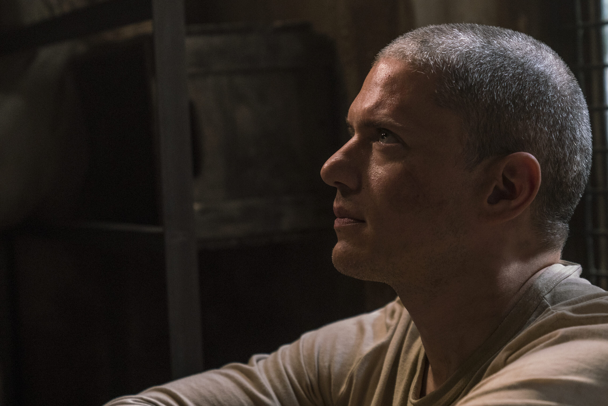wentworth miller prison break
