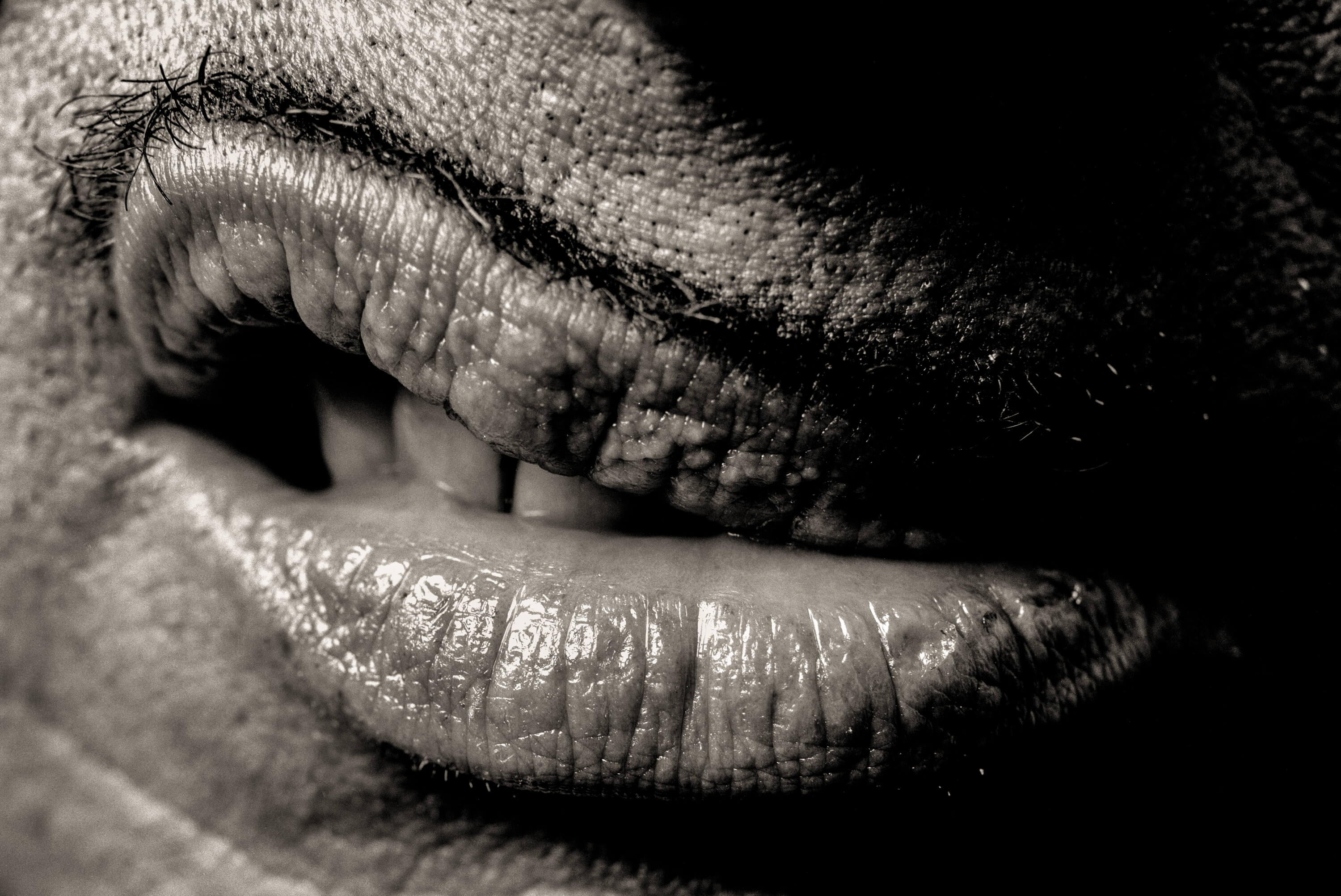 John Waters' Lips, Los Angeles, 1994