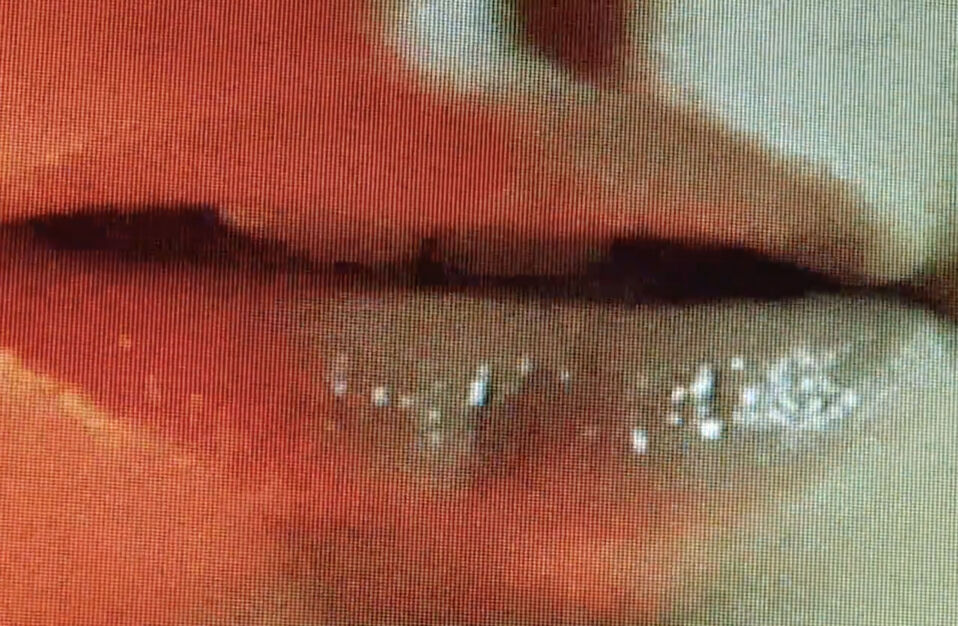 Donna Missal Sexi Good