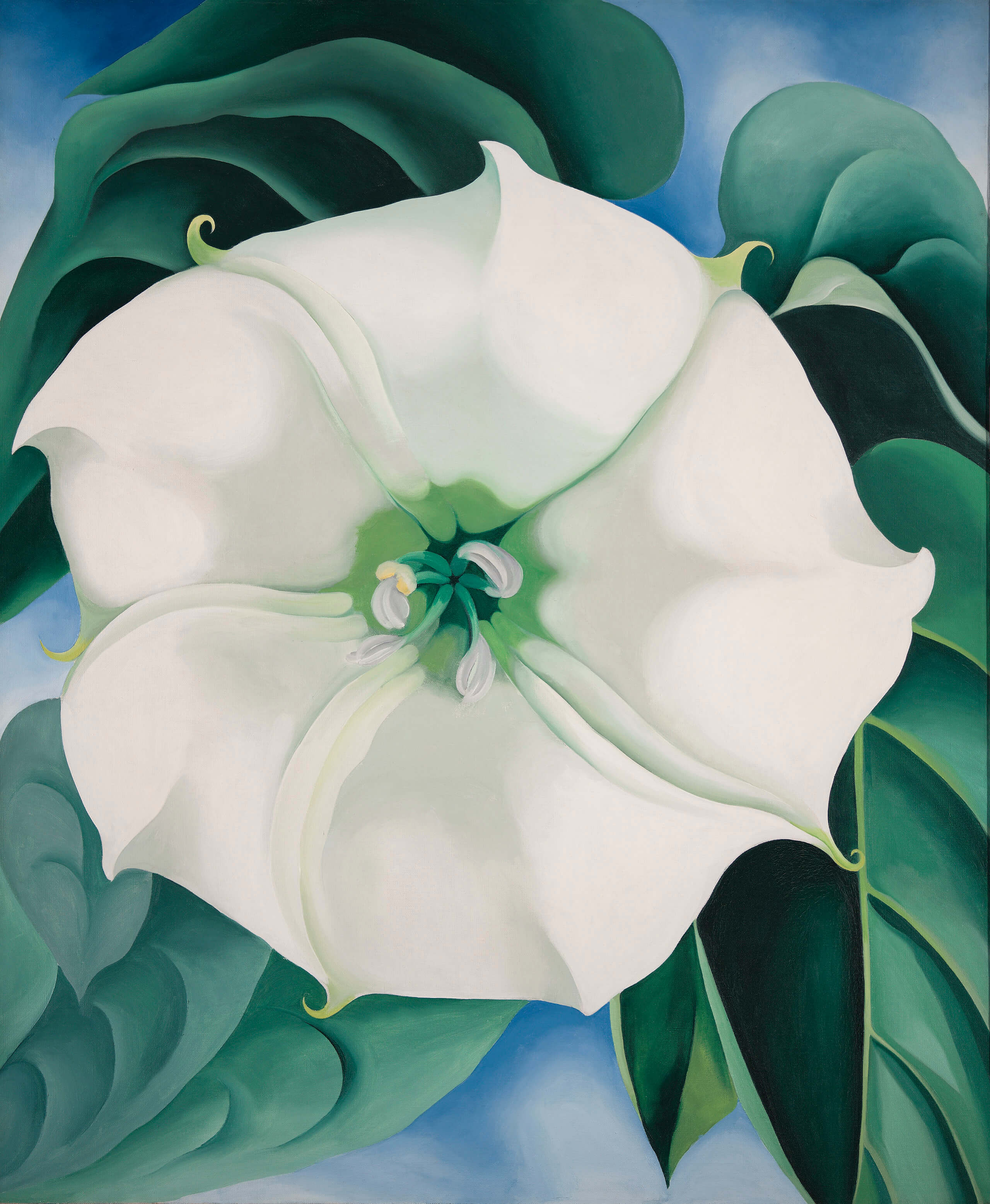 Georgia O'Keeffe, Jimson Weed/White Flower No. 1, 1932. Oil on canvas. Crystal Bridges Museum of American Art, Bentonville, Arkansas © Georgia O’Keeffe Museum Photography by Edward C. Robison III