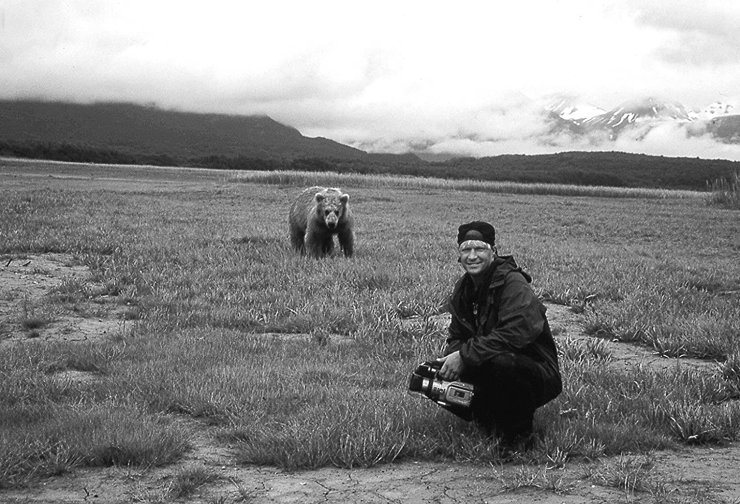 timothy treadwell grizzly man