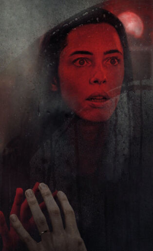 the night house