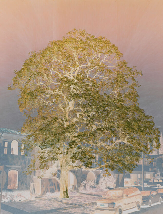 Purgatory (1st Cornice), 2021 Colored pencil on Fuji Velvet paper mounted on paper 149 5/8 x 136 1/8 in. (380 x 345.5 cm) Installation view, Marian Goodman Gallery, New York, 2021