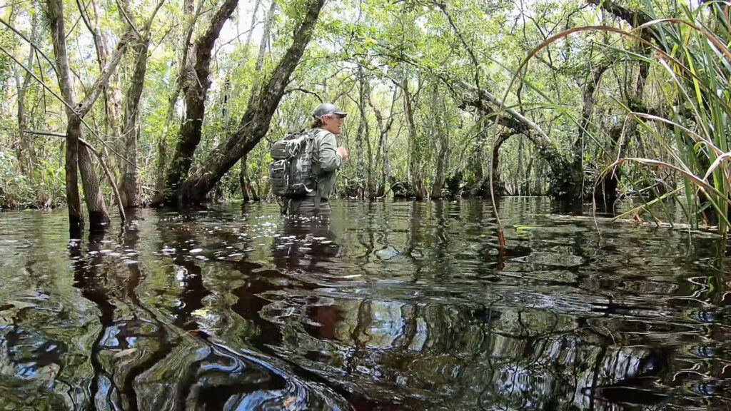Explorer waist deep in the Florida swamp in Chasing Ghosts