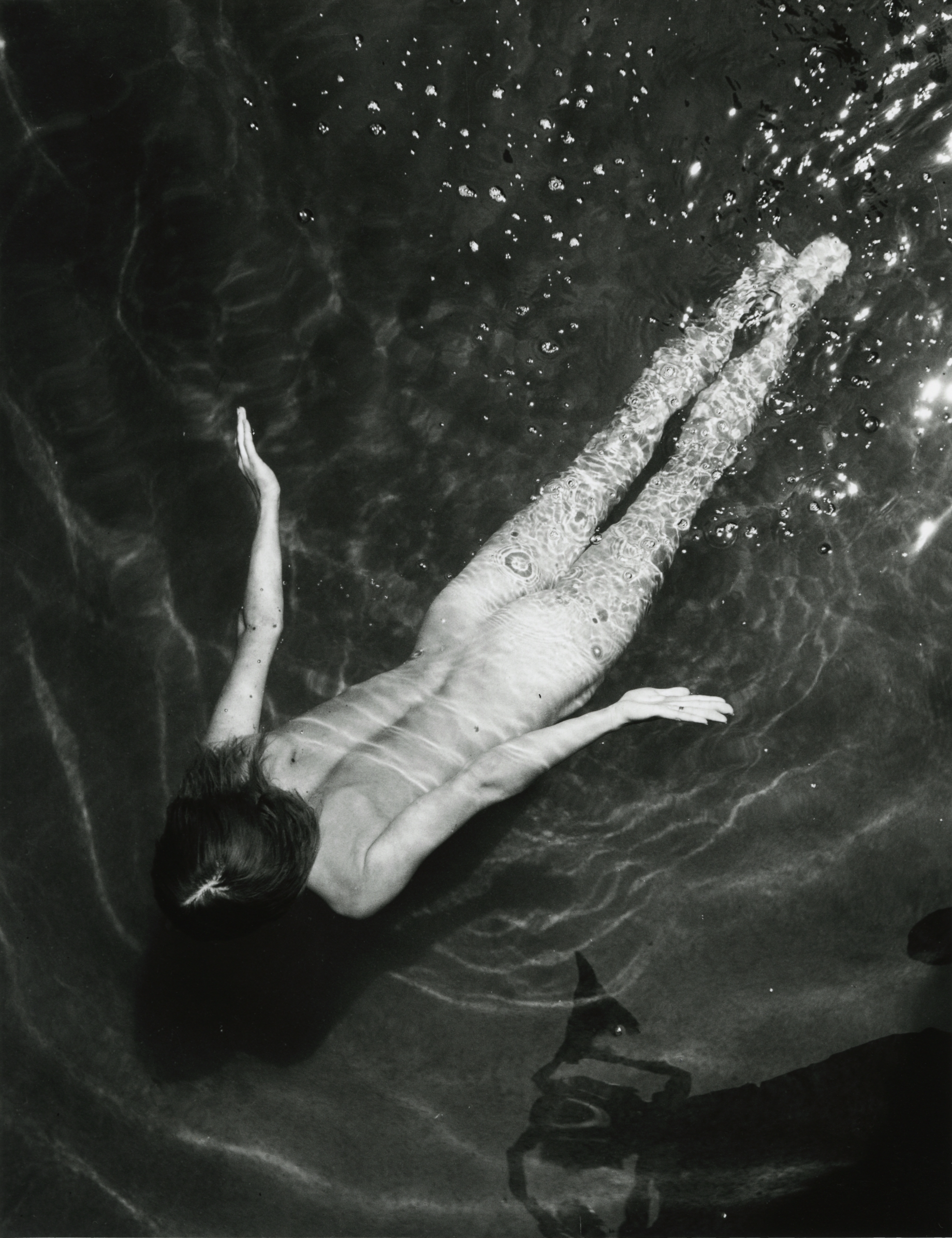 Fernand Fonssagrives. La truite (Lisa Fonssagrives). @fernandfonssagrives