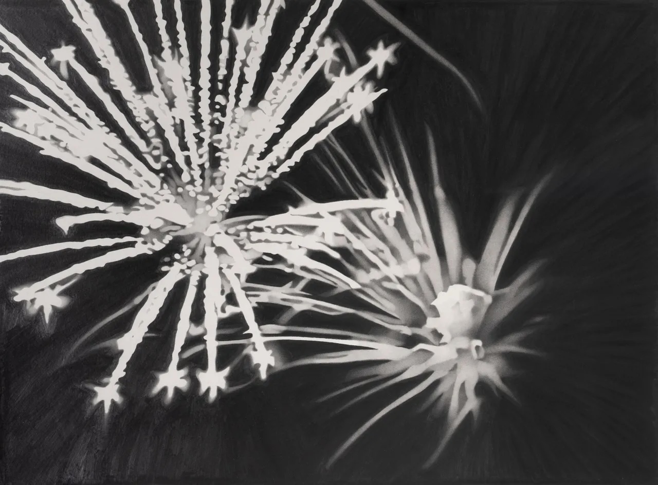 Banks Violette, Celebration (white phosphorus), 2024