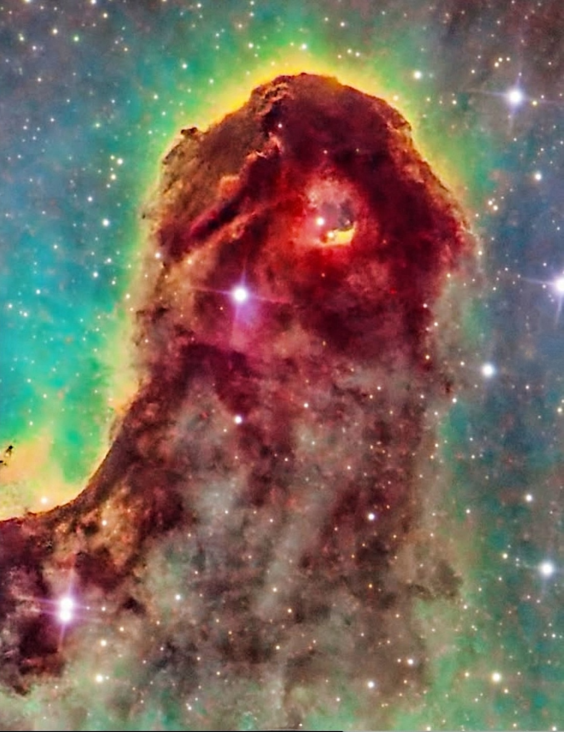 Elephant Trunk Nebula. Photograph by Andrew McCarthy, 2026