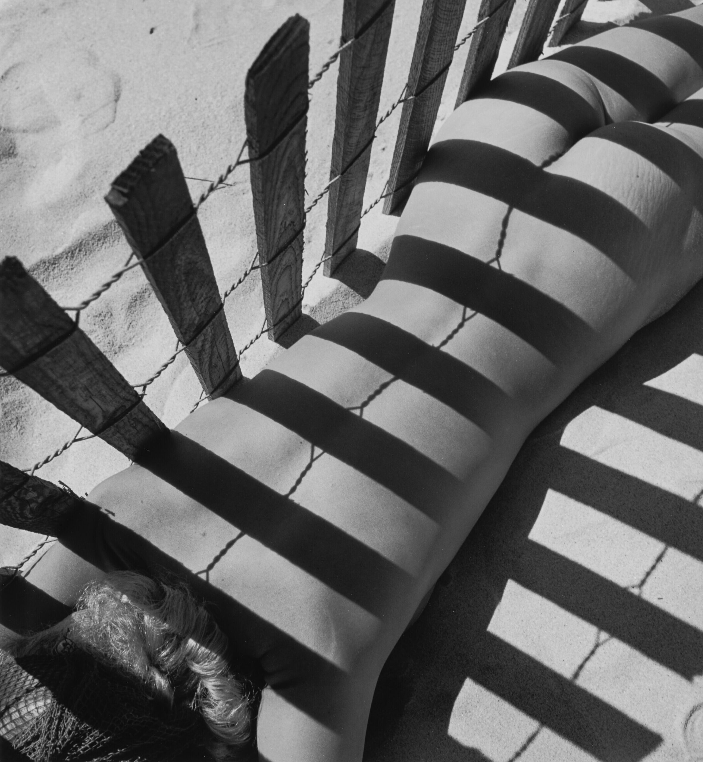Fernand Fonssagrives. Sand Fence, 1949. @fernandfonssagrives
