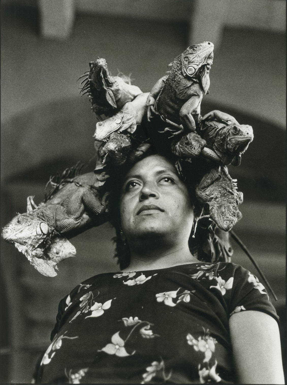 Graciela Iturbide. Our Lady of the Iguana, Juchitàn, Mexico. Throckmorton Gallery, NYC