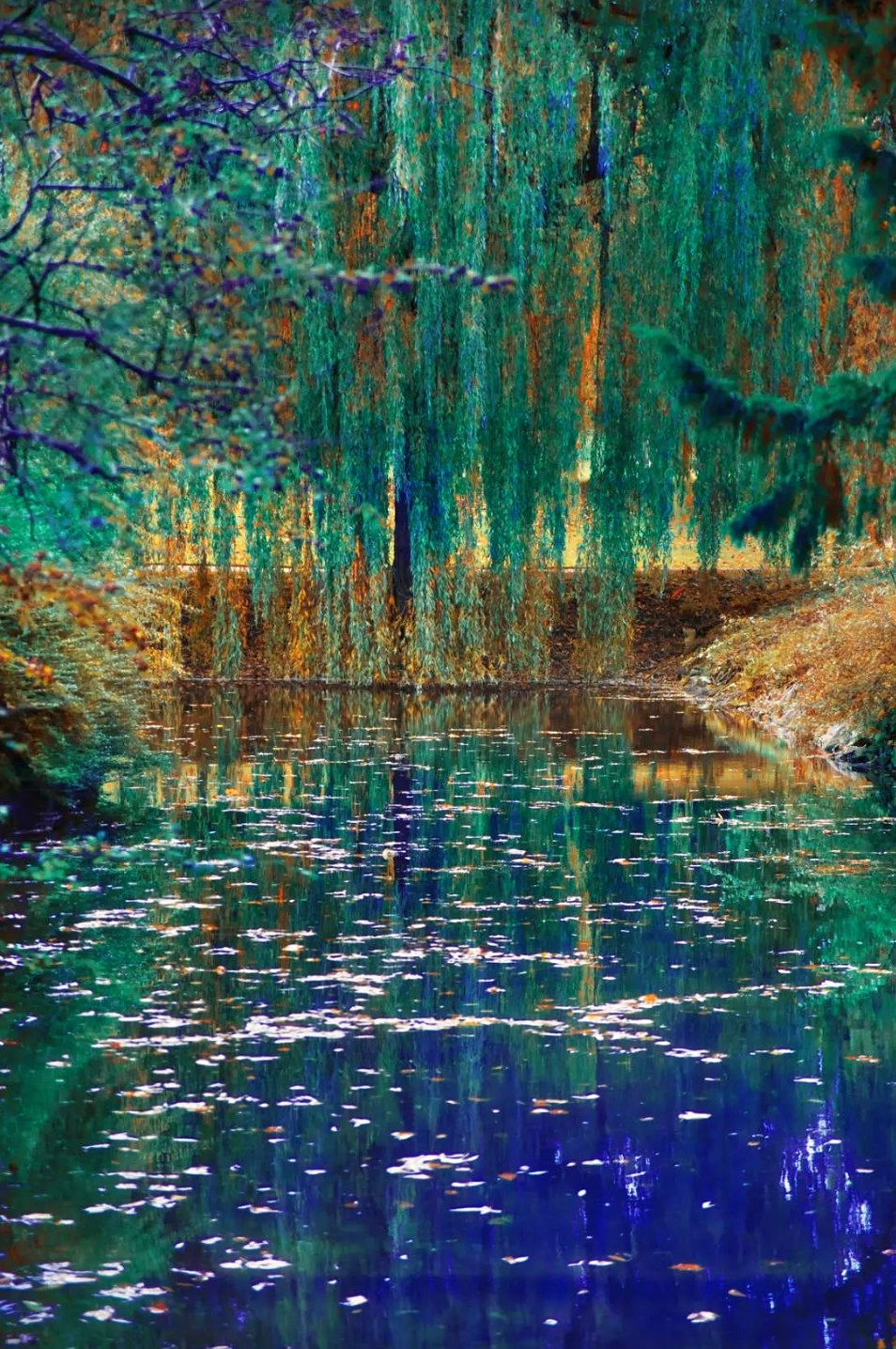 "English Garden Study N.32", 2023, Erik Madigan Heck. From The Tapestry. Courtesy of Thames & Hudson