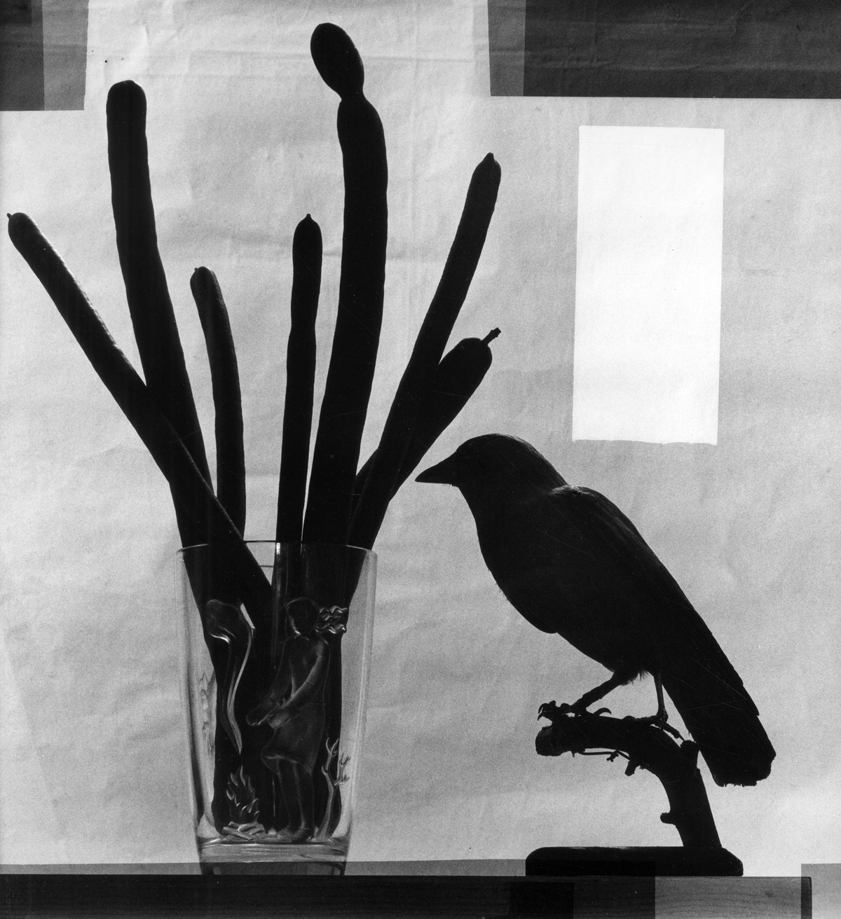 Flor Garduño. Black Crow, 2015. Throckmorton Gallery, NYC