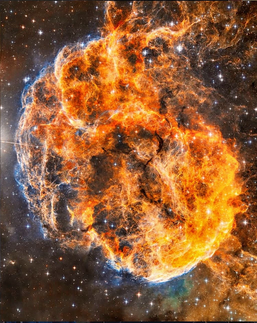 Jellyfish Nebula. Photograph by Andrew McCarthy