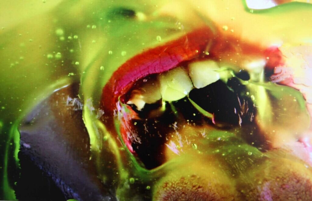 Marilyn Minter, Greenpinkcaviar. www,marilynminter.net